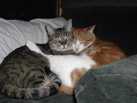 Marty and charlie snooze